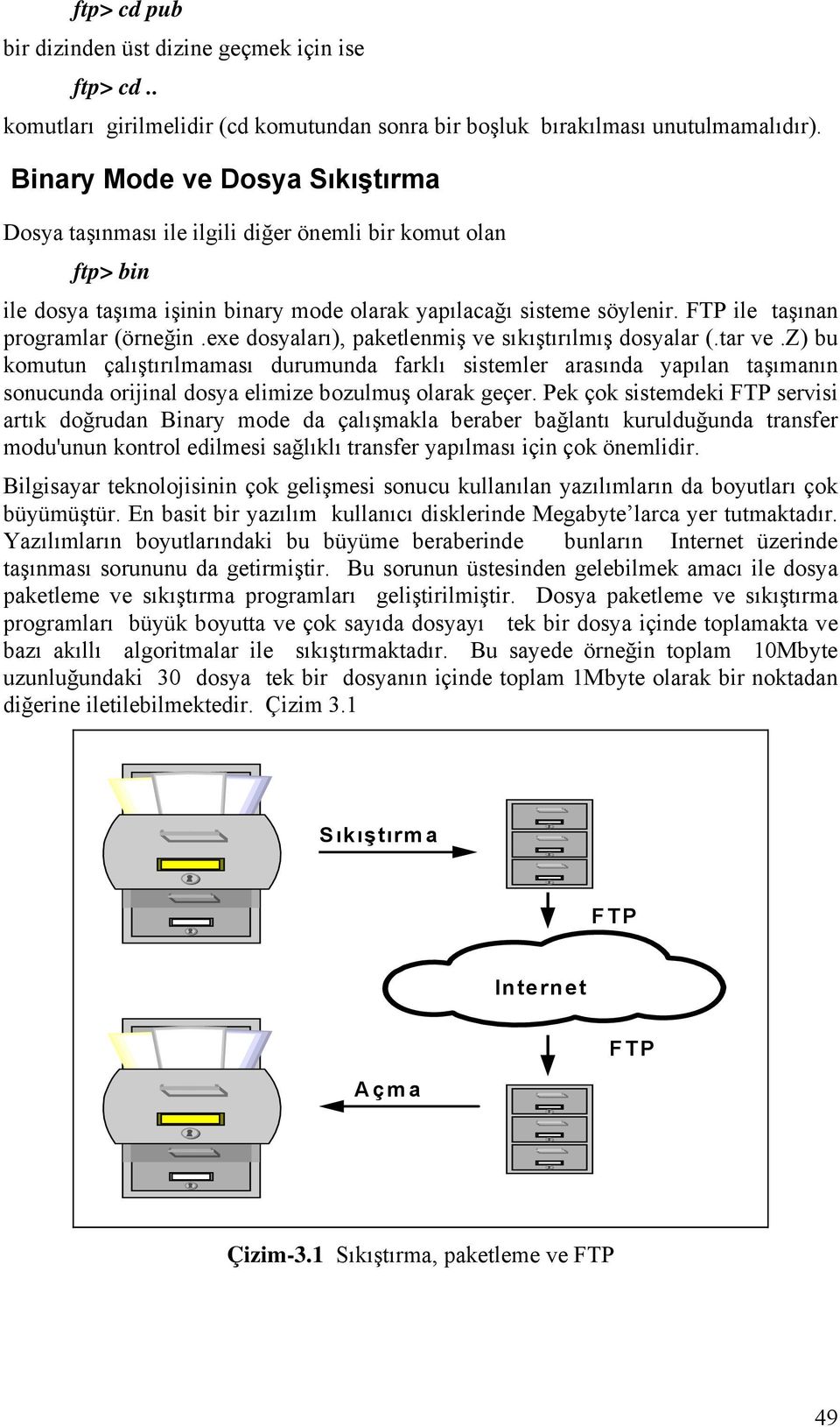 FTP ile taşınan programlar (örneğin.exe dosyaları), paketlenmiş ve sıkıştırılmış dosyalar (.tar ve.