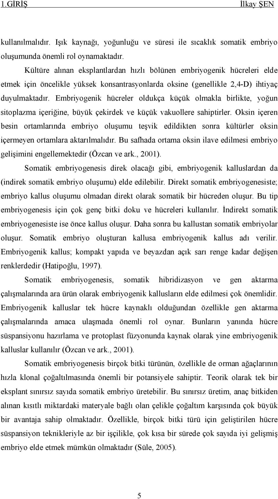 Embriyogenik hücreler oldukça küçük olmakla birlikte, yoğun sitoplazma içeriğine, büyük çekirdek ve küçük vakuollere sahiptirler.