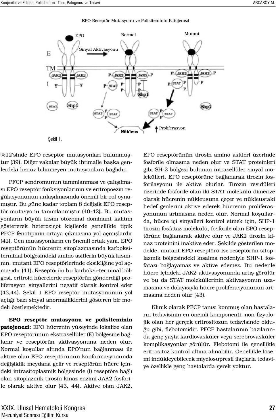 PFCP sendromunun tan mlanmas ve çal fl lmas EPO reseptör fonksiyonlar n n ve eritropoezin regülasyonunun anlafl lmas nda önemli bir rol oynam flt r.