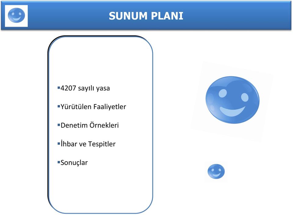 Faaliyetler Denetim