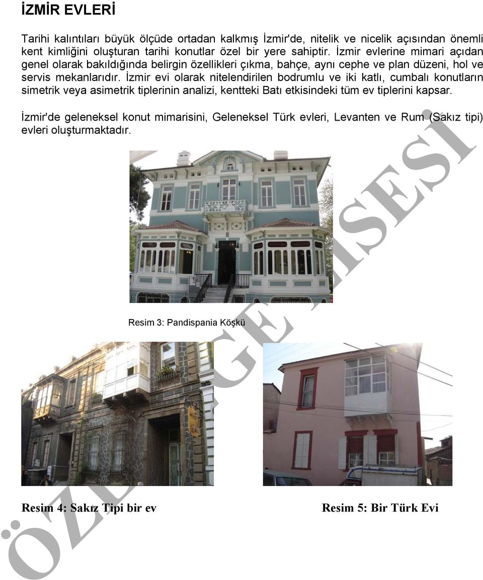 İzmir evi olarak nitelendirilen bodrumlu ve iki katlı, cumbalı konutların simetrik veya asimetrik tiplerinin analizi, kentteki Batı etkisindeki tüm ev tiplerini kapsar.
