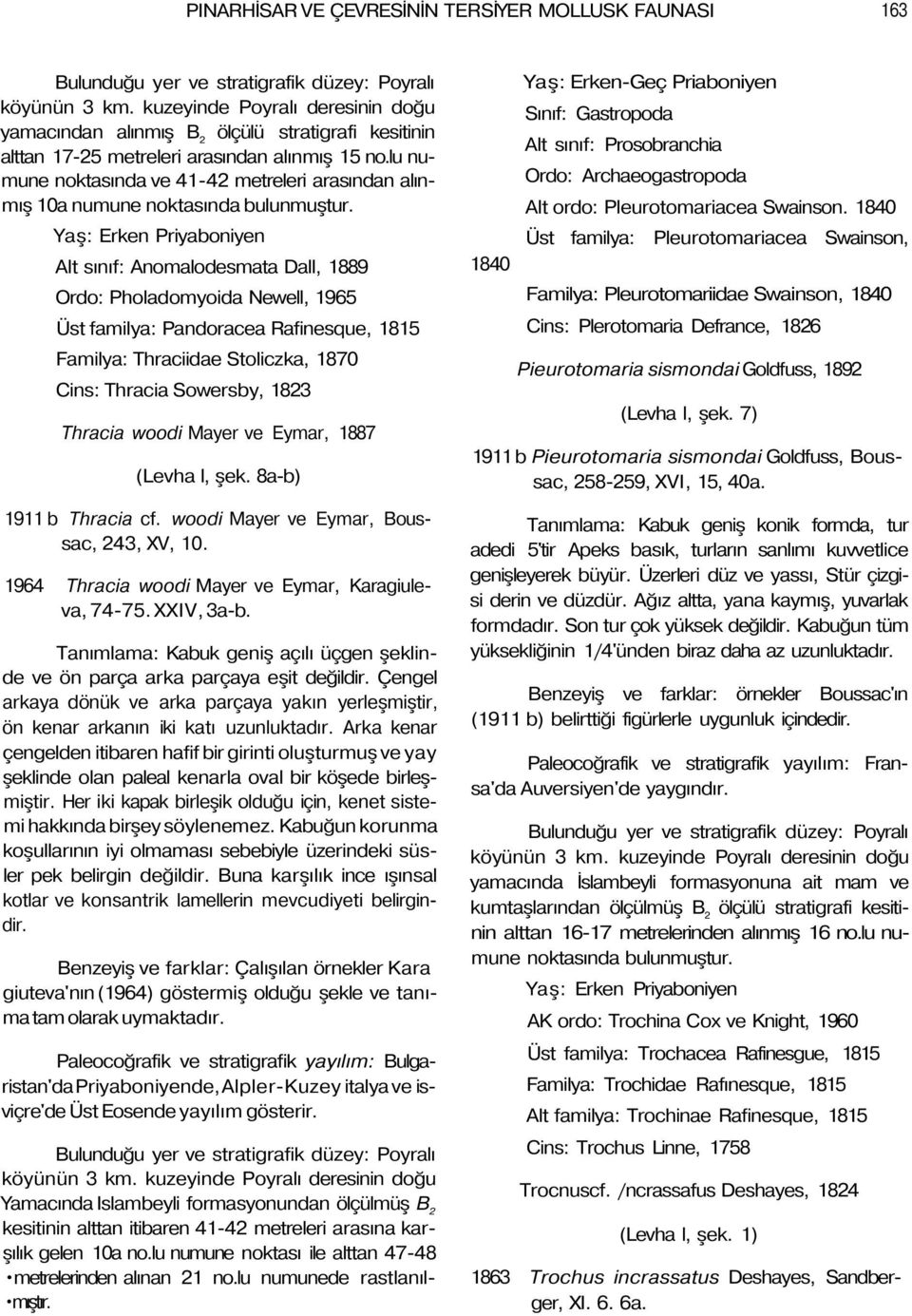 lu numune noktasında ve 41-42 metreleri arasından alınmış 10a numune noktasında bulunmuştur.