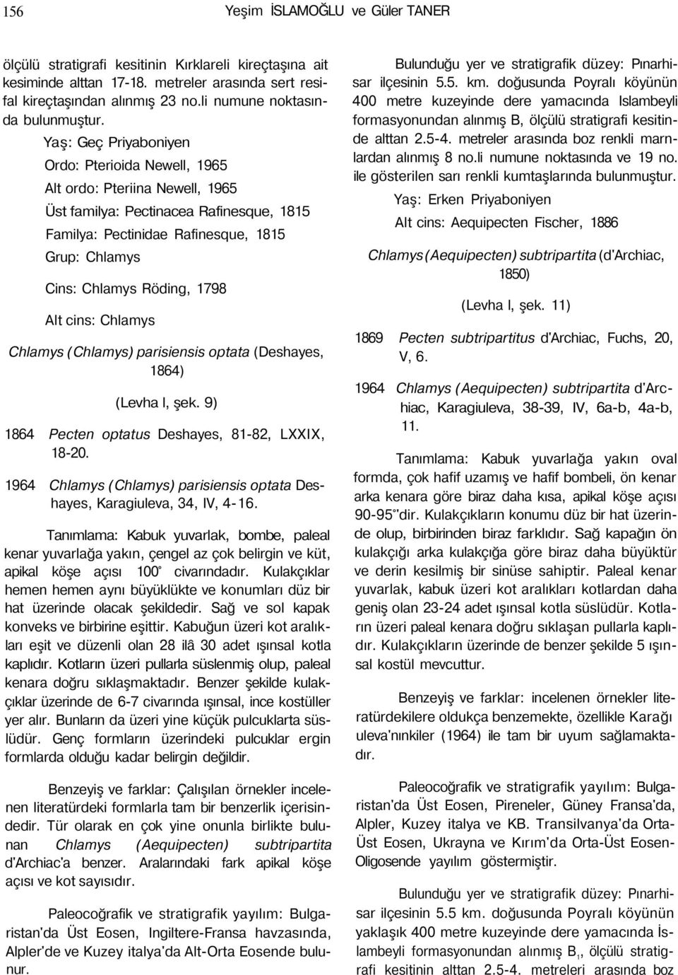 Yaş: Geç Priyaboniyen Ordo: Pterioida Newell, 1965 Alt ordo: Pteriina Newell, 1965 Üst familya: Pectinacea Rafinesque, 1815 Familya: Pectinidae Rafinesque, 1815 Grup: Chlamys Cins: Chlamys Röding,