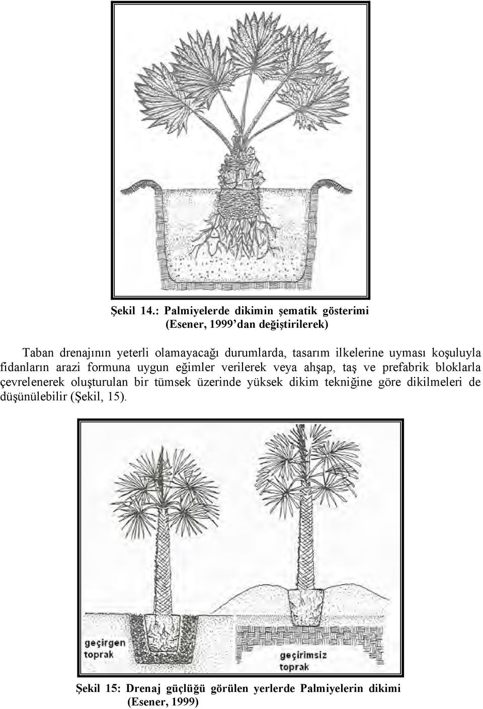 durumlarda, tasarım ilkelerine uyması koşuluyla fidanların arazi formuna uygun eğimler verilerek veya ahşap,