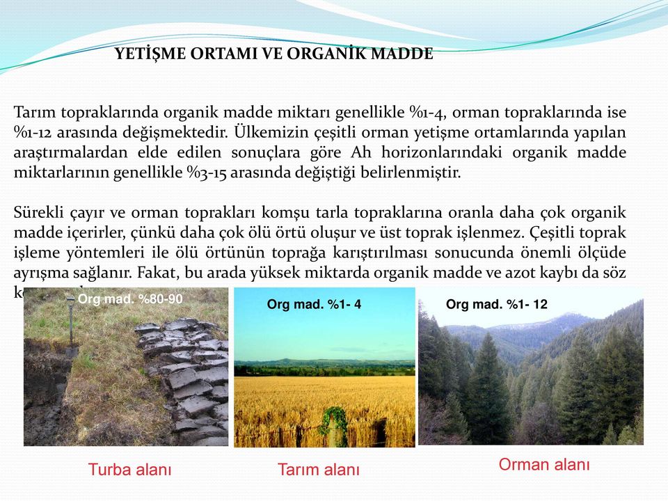 belirlenmiştir. Sürekli çayır ve orman toprakları komşu tarla topraklarına oranla daha çok organik madde içerirler, çünkü daha çok ölü örtü oluşur ve üst toprak işlenmez.