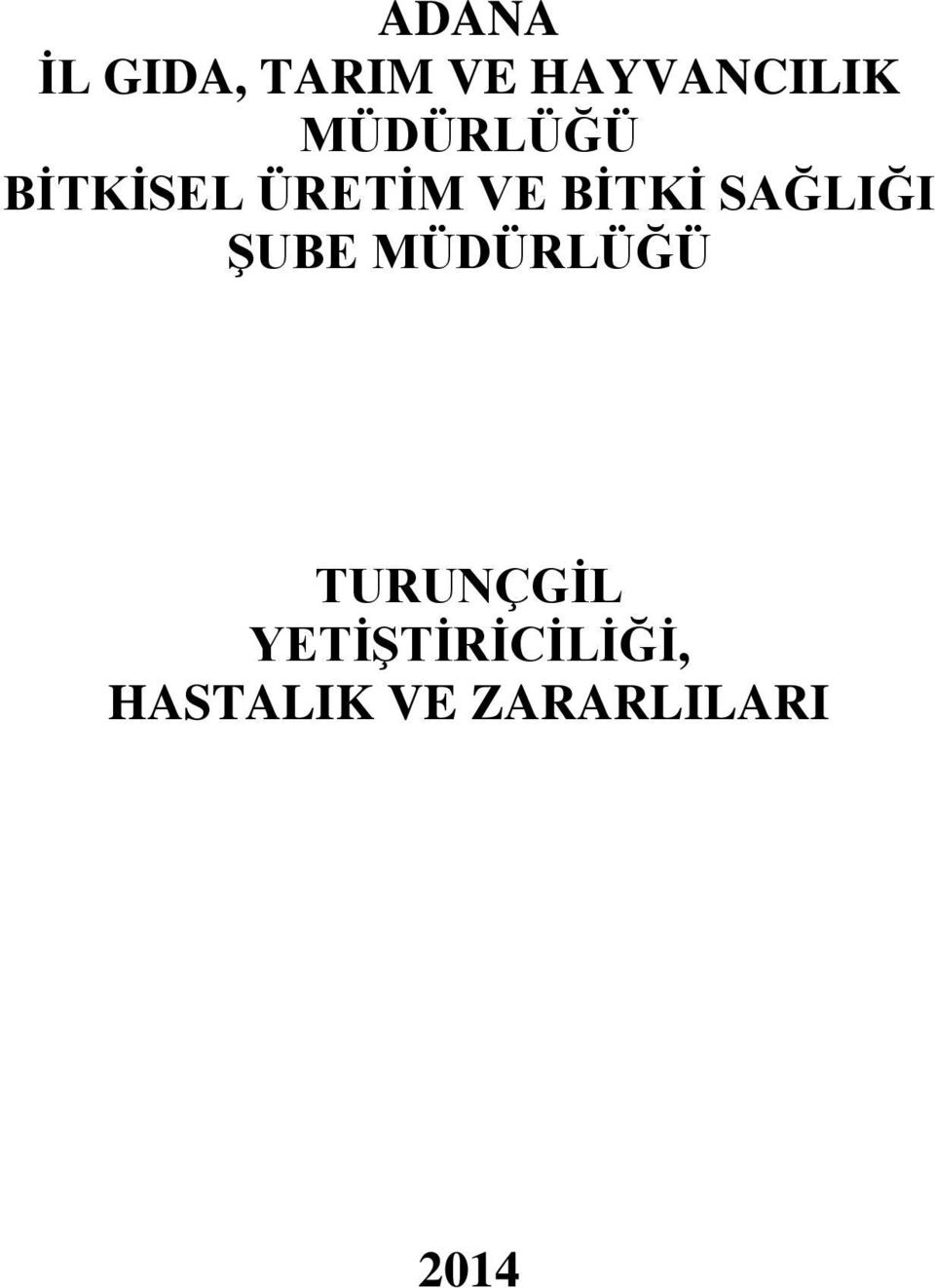 SAĞLIĞI ŞUBE MÜDÜRLÜĞÜ TURUNÇGİL