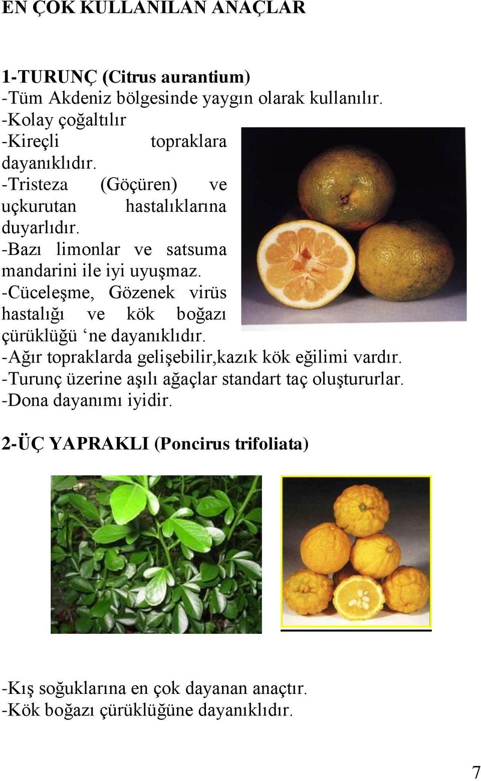 -Bazı limonlar ve satsuma mandarini ile iyi uyuşmaz. -Cüceleşme, Gözenek virüs hastalığı ve kök boğazı çürüklüğü ne dayanıklıdır.