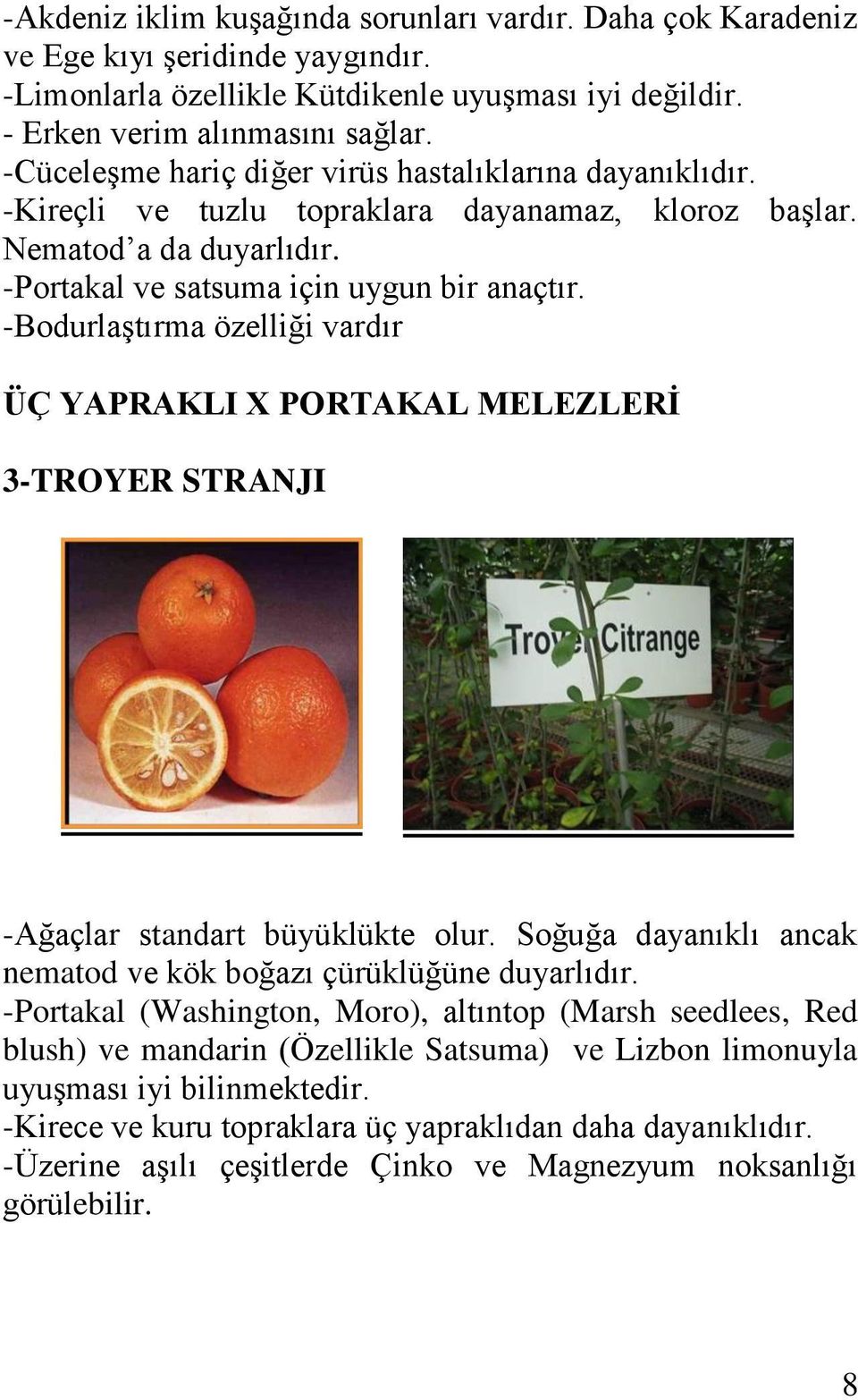 -Bodurlaştırma özelliği vardır ÜÇ YAPRAKLI X PORTAKAL MELEZLERİ 3-TROYER STRANJI -Ağaçlar standart büyüklükte olur. Soğuğa dayanıklı ancak nematod ve kök boğazı çürüklüğüne duyarlıdır.