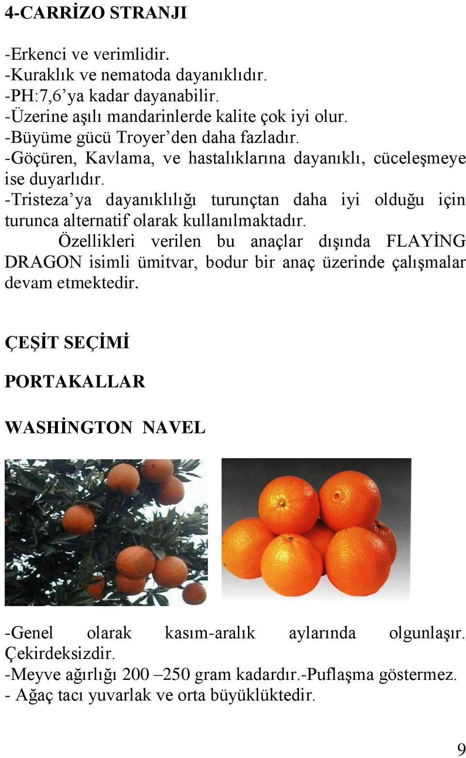 -Tristeza ya dayanıklılığı turunçtan daha iyi olduğu için turunca alternatif olarak kullanılmaktadır.