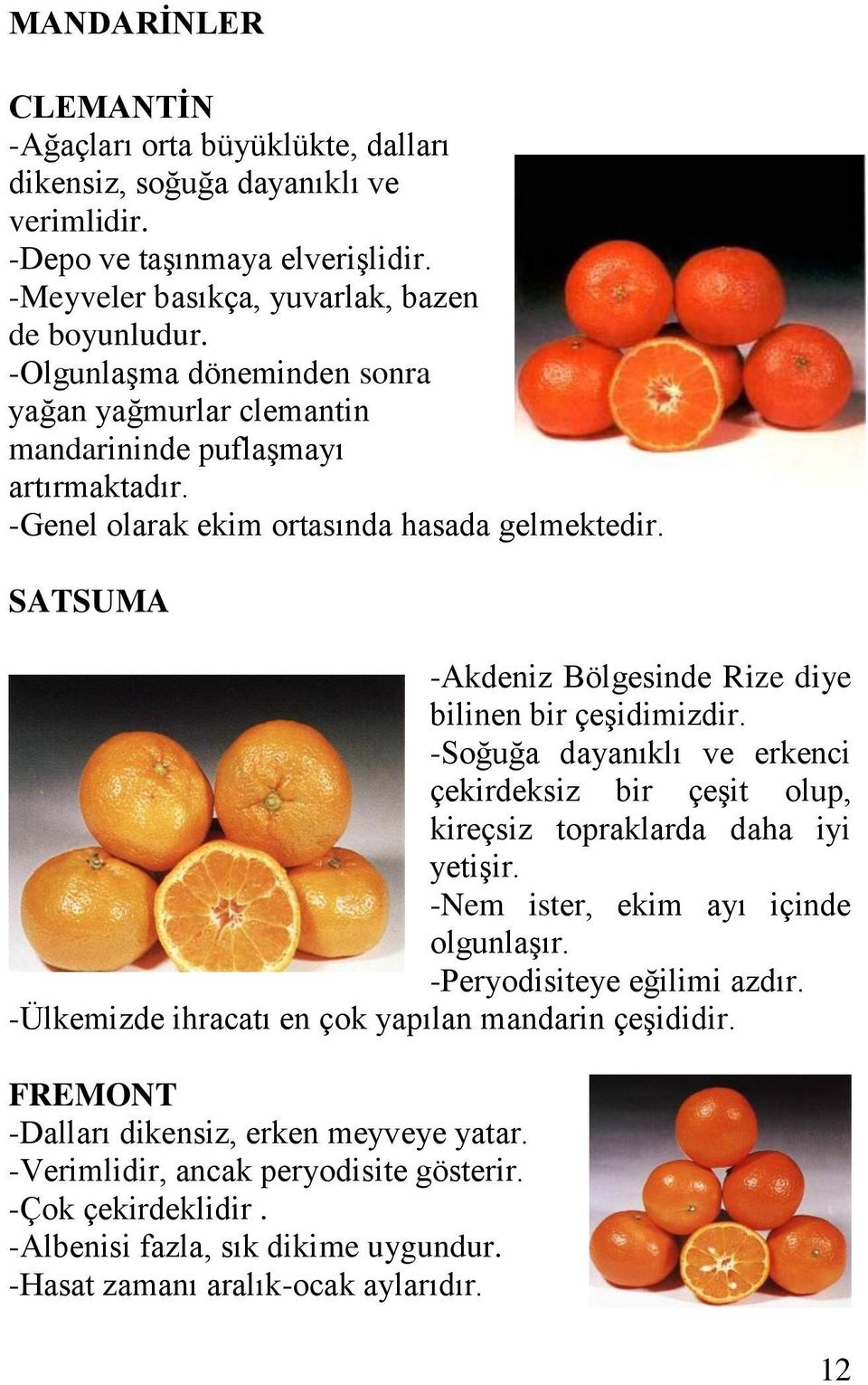 SATSUMA -Akdeniz Bölgesinde Rize diye bilinen bir çeşidimizdir. -Soğuğa dayanıklı ve erkenci çekirdeksiz bir çeşit olup, kireçsiz topraklarda daha iyi yetişir. -Nem ister, ekim ayı içinde olgunlaşır.