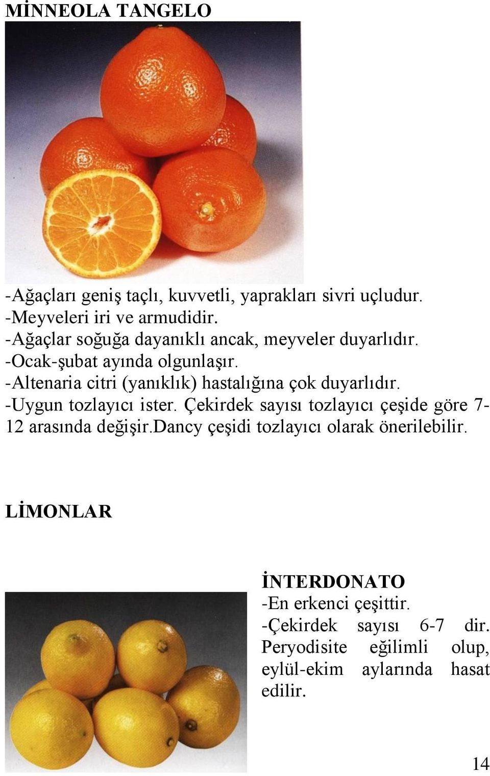 -Altenaria citri (yanıklık) hastalığına çok duyarlıdır. -Uygun tozlayıcı ister.