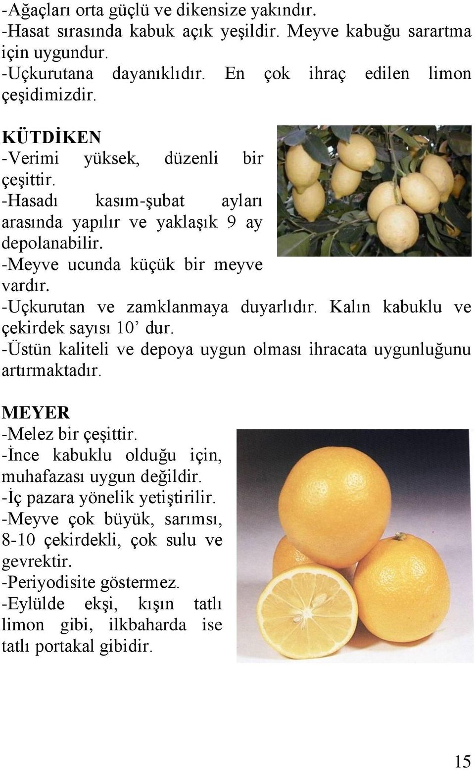 -Uçkurutan ve zamklanmaya duyarlıdır. Kalın kabuklu ve çekirdek sayısı 10 dur. -Üstün kaliteli ve depoya uygun olması ihracata uygunluğunu artırmaktadır. MEYER -Melez bir çeşittir.