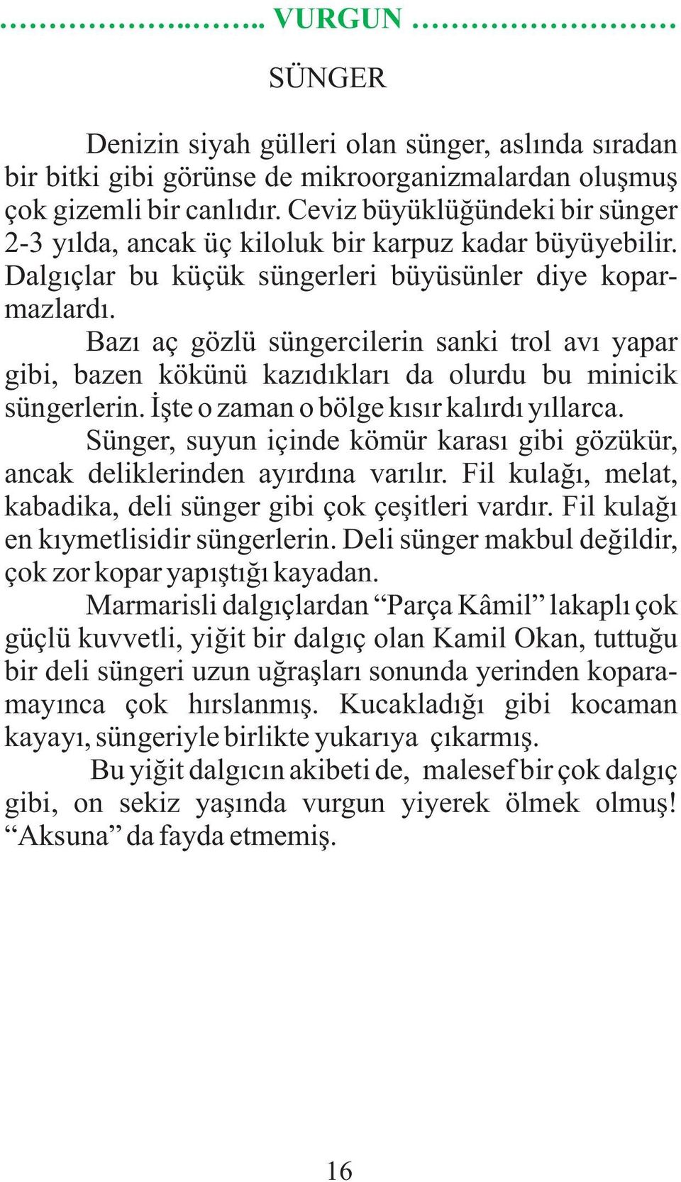 Bazý aç gözlü süngercilerin sanki trol avý yapar gibi, bazen kökünü kazýdýklarý da olurdu bu minicik süngerlerin. Ýþte o zaman o bölge kýsýr kalýrdý yýllarca.