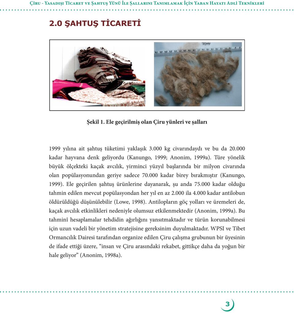 Ele geçirilmiş olan Çiru yünleri ve şalları 1999 yılına The ait consumption şahtuş tüketimi of shahtoosh yaklaşık 3.000 wool kg in civarındaydı 1999 was about ve bu 3,000 da 20.