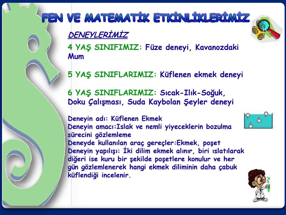 yiyeceklerin bozulma sürecini gözlemleme Deneyde kullanılan araç gereçler:ekmek, poşet Deneyin yapılışı: İki dilim ekmek