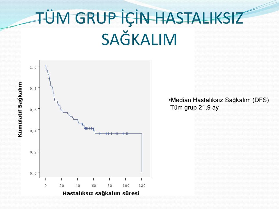 Sağkalım (DFS) Tüm grup 21,9 ay 0,4 0,2 0,0