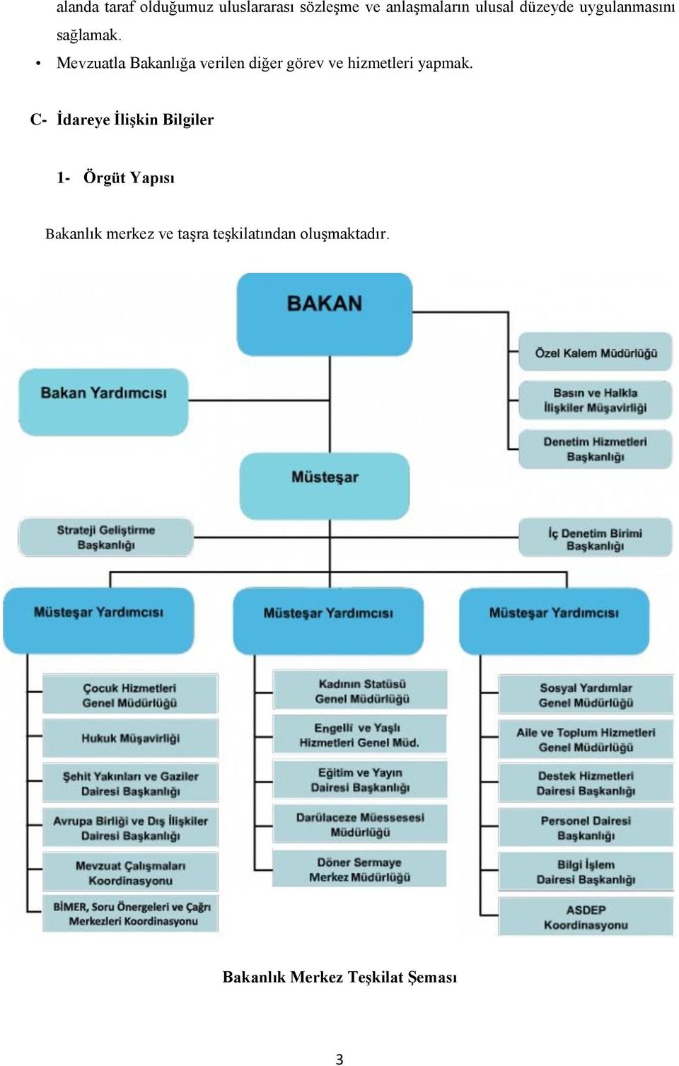 Mevzuatla Bakanlığa verilen diğer görev ve hizmetleri yapmak.