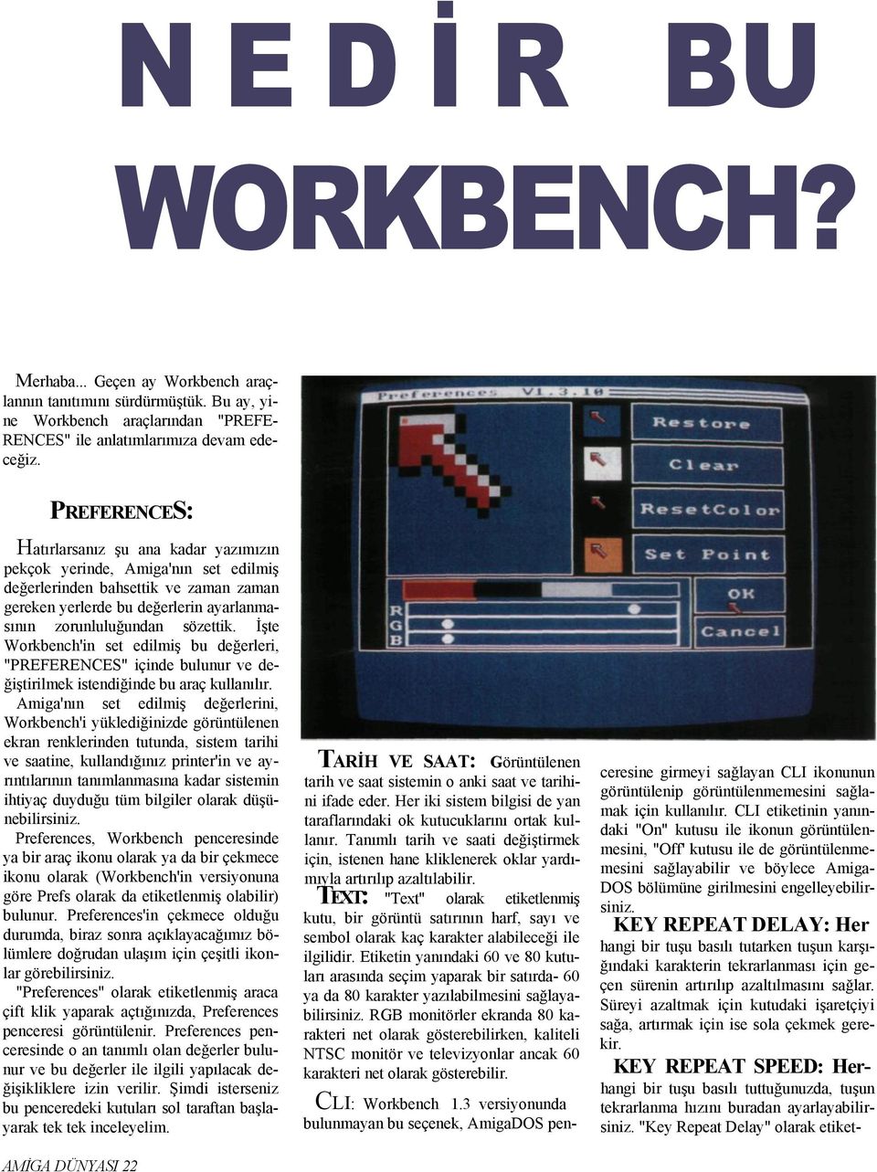 İşte Workbench'in set edilmiş bu değerleri, "PREFERENCES" içinde bulunur ve değiştirilmek istendiğinde bu araç kullanılır.