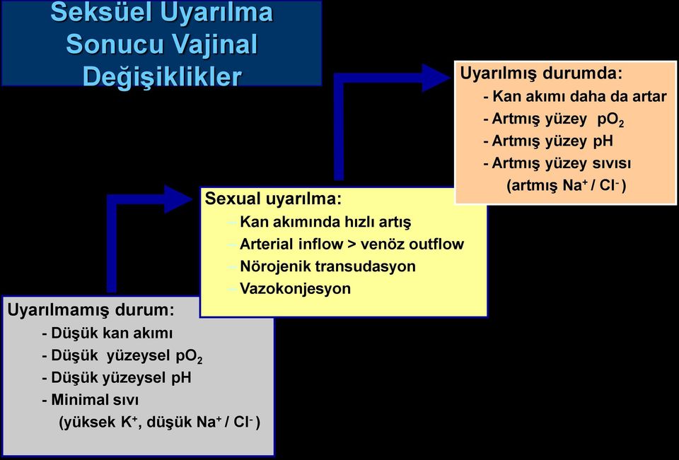 Nörojenik transudasyon Vazokonjesyon - Artmış yüzey po 2 - Artmış yüzey ph - Artmış yüzey sıvısı