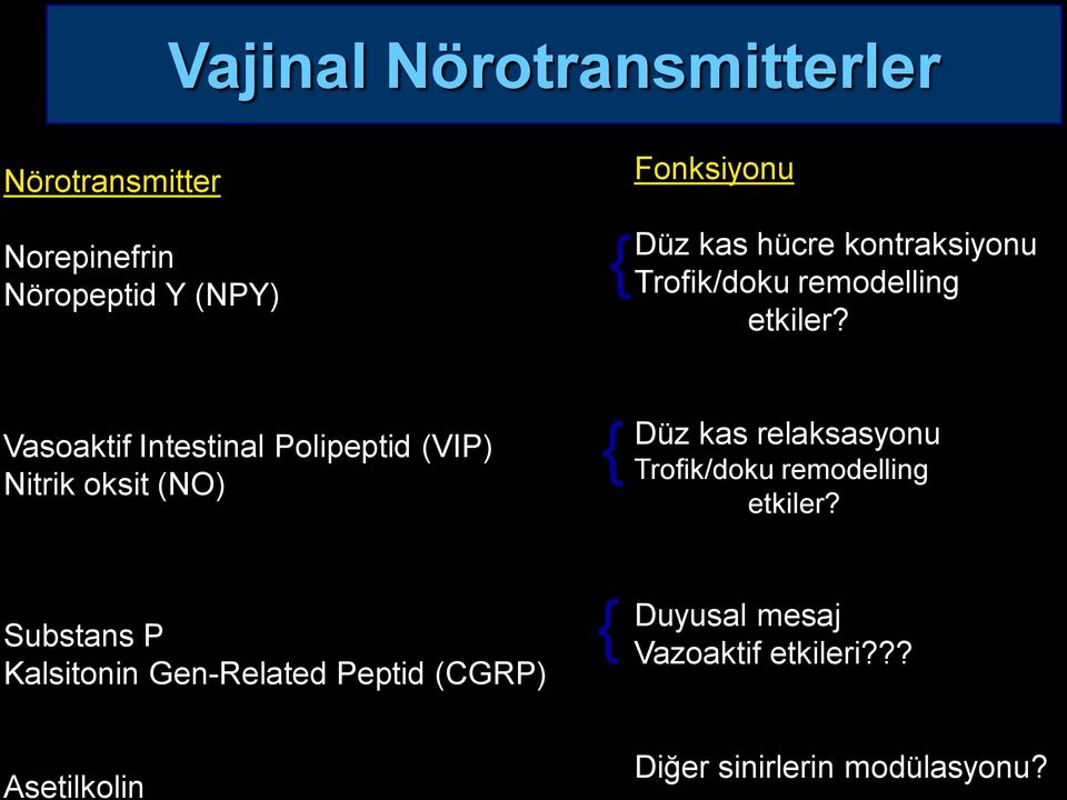 Vasoaktif Intestinal Polipeptid (VIP) Nitrik oksit (NO) { Düz kas relaksasyonu Trofik/doku