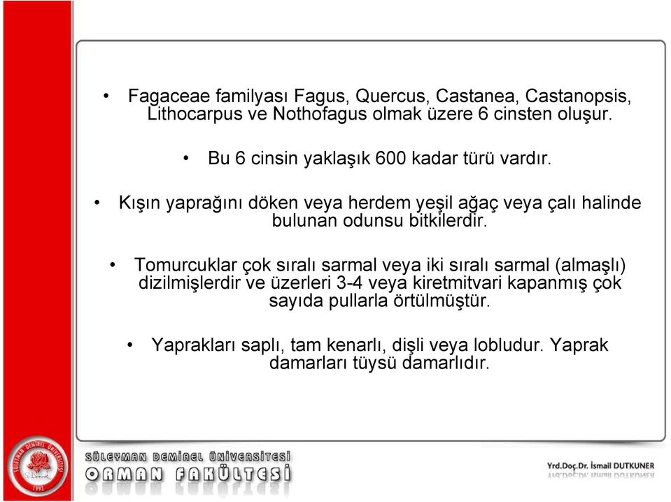 Kışın yaprağını döken veya herdem yeşil ağaç veya çalı halinde bulunan odunsu bitkilerdir.