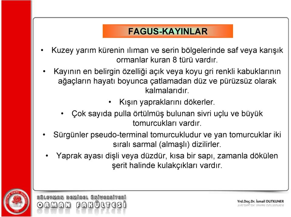 kalmalarıdır. Kışın yapraklarını dökerler. Çok sayıda pulla örtülmüş bulunan sivri uçlu ve büyük tomurcukları vardır.