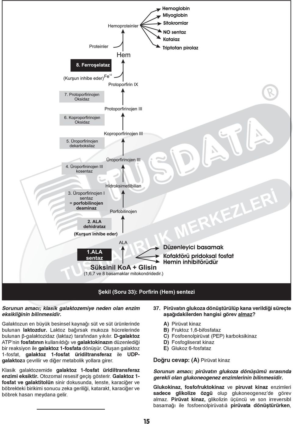 D-galaktoz ATP nin fosfatının kullanıldığı ve galaktokinazın düzenlediği bir reaksiyon ile galaktoz 1-fosfata dönüşür.