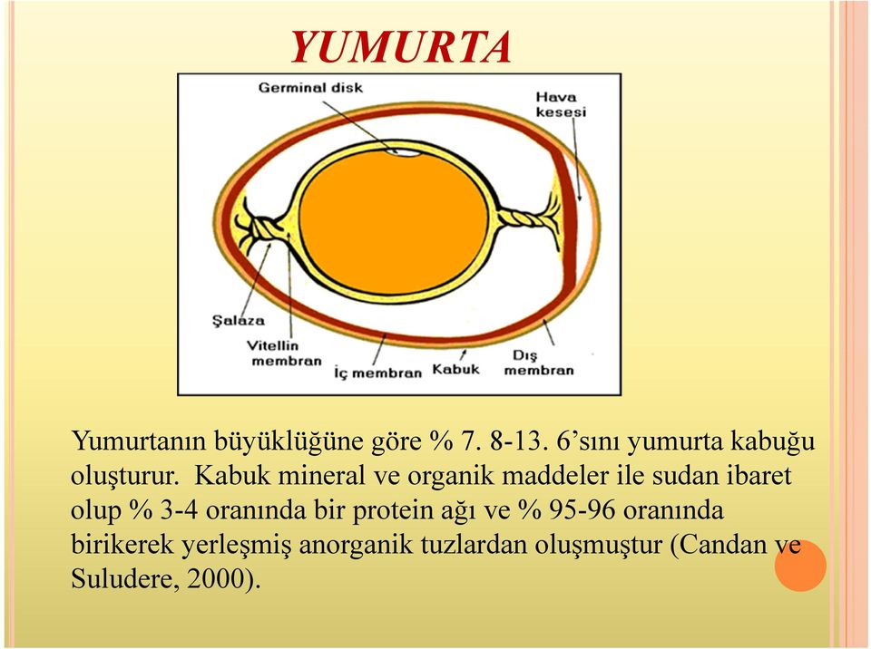 Kabuk mineral ve organik maddeler ile sudan ibaret olup % 3-4