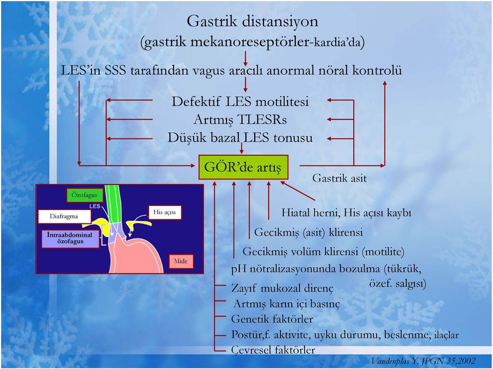 açısı kaybı Gecikmiş (asit) klirensi Gecikmiş volüm klirensi (motilite) ph nötralizasyonunda bozulma (tükrük, Zayıf mukozal direnç özef.