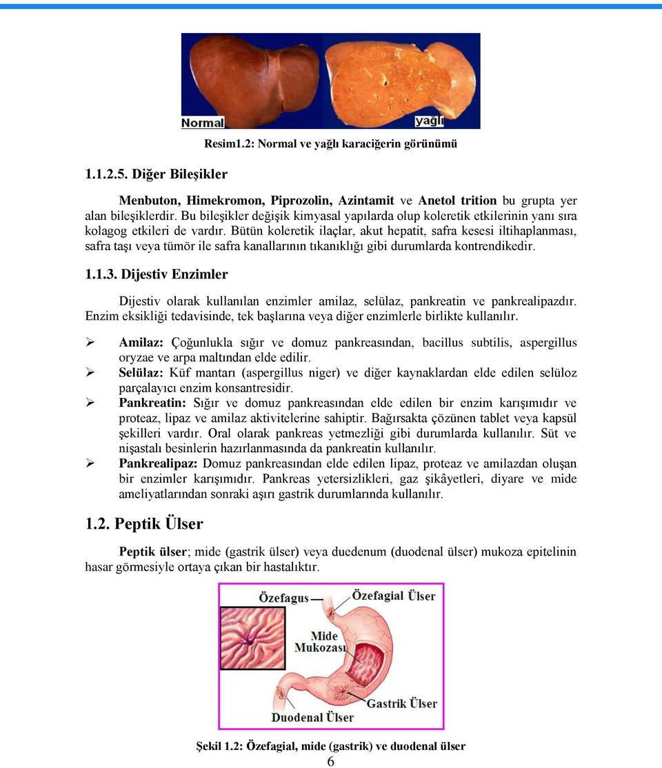 Bütün koleretik ilaçlar, akut hepatit, safra kesesi iltihaplanması, safra taģı veya tümör ile safra kanallarının tıkanıklığı gibi durumlarda kontrendikedir. 1.1.3.