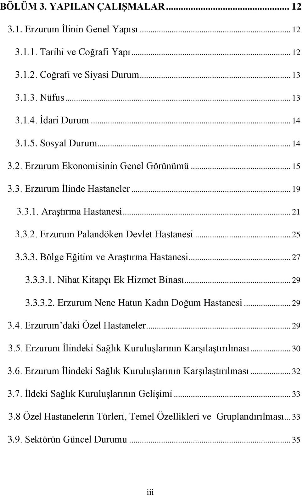 .. 27 3.3.3.1. Nihat Kitapçı Ek Hizmet Binası... 29 3.3.3.2. Erzurum Nene Hatun Kadın Doğum Hastanesi... 29 3.4. Erzurum daki Özel Hastaneler... 29 3.5.