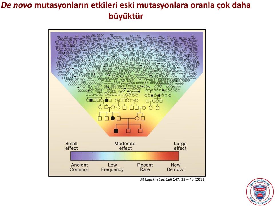 oranla çok daha büyüktür JR