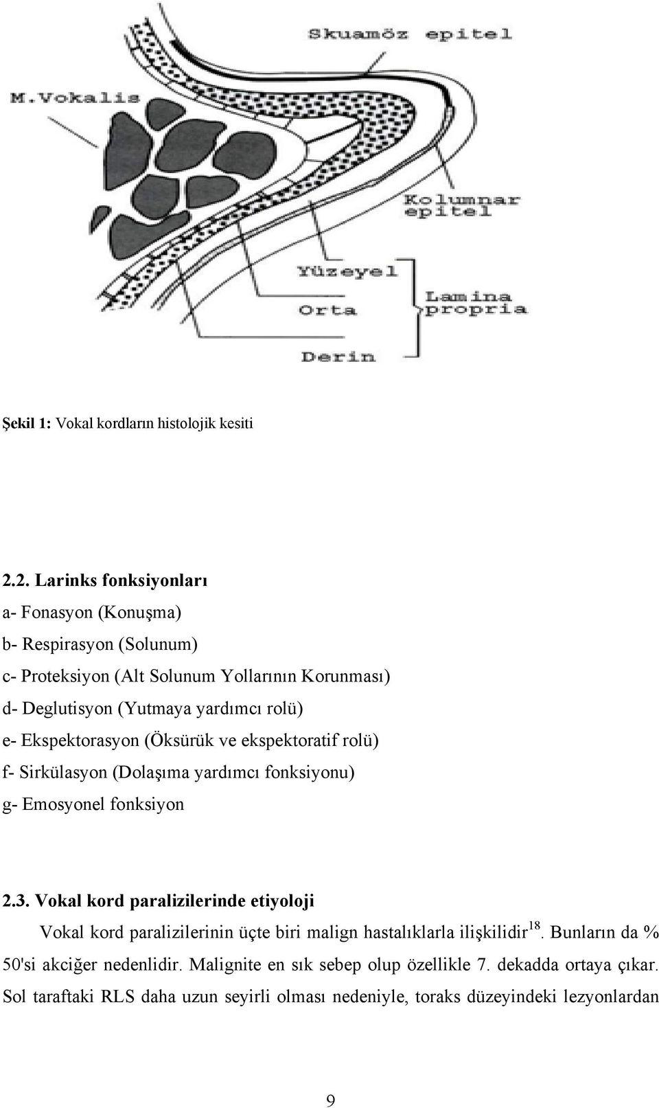 rolü) e- Ekspektorasyon (Öksürük ve ekspektoratif rolü) f- Sirkülasyon (Dolaşıma yardımcı fonksiyonu) g- Emosyonel fonksiyon 2.3.