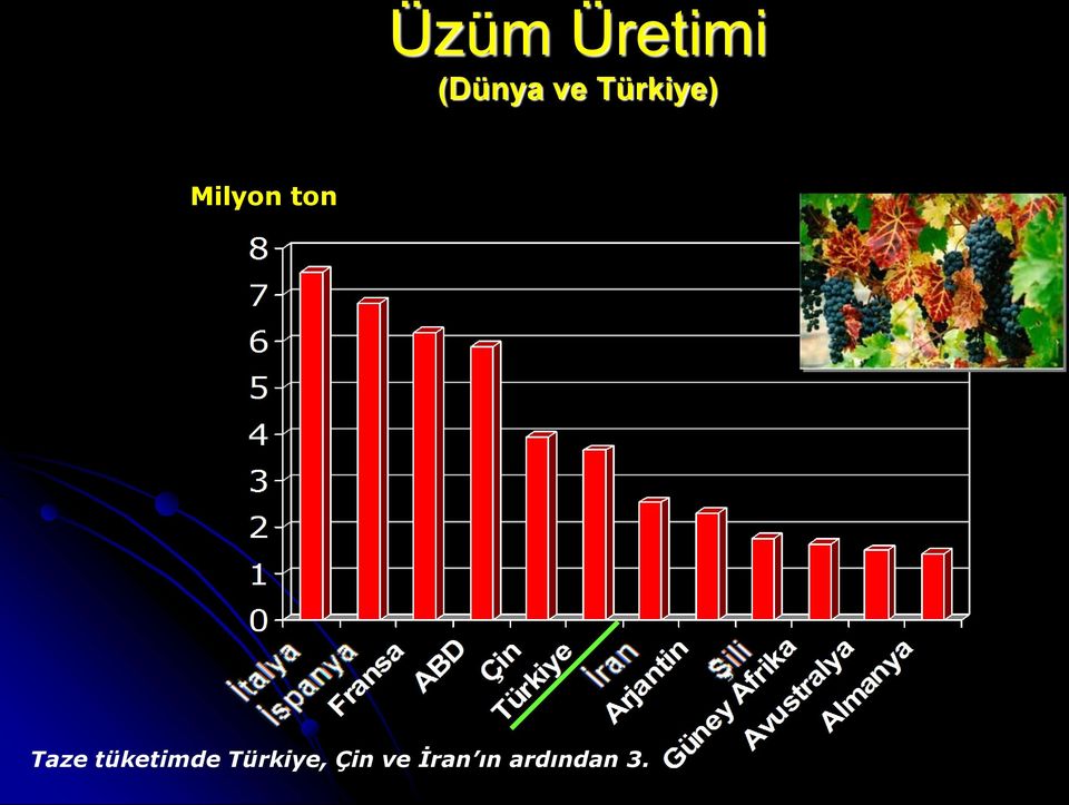 Taze tüketimde Türkiye,