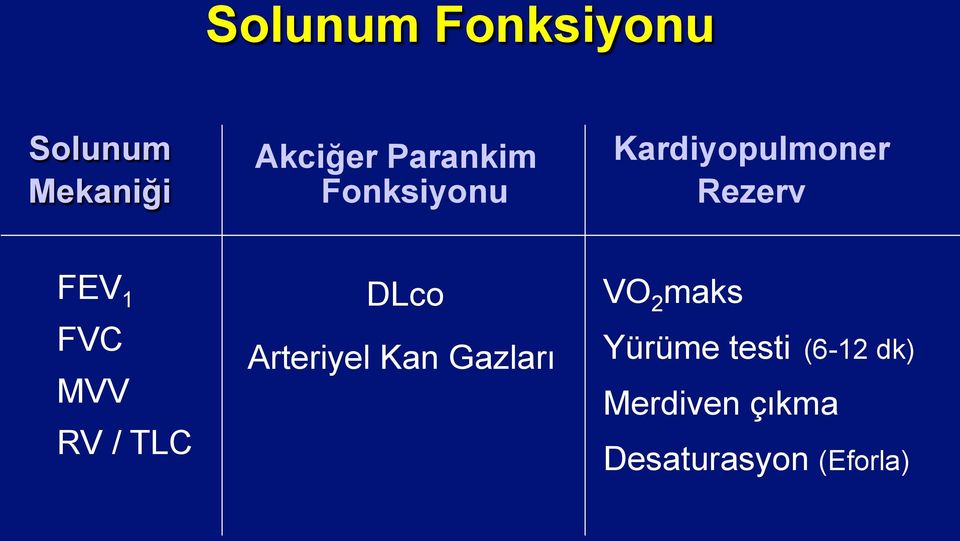 FVC MVV RV / TLC DLco Arteriyel Kan Gazları VO 2