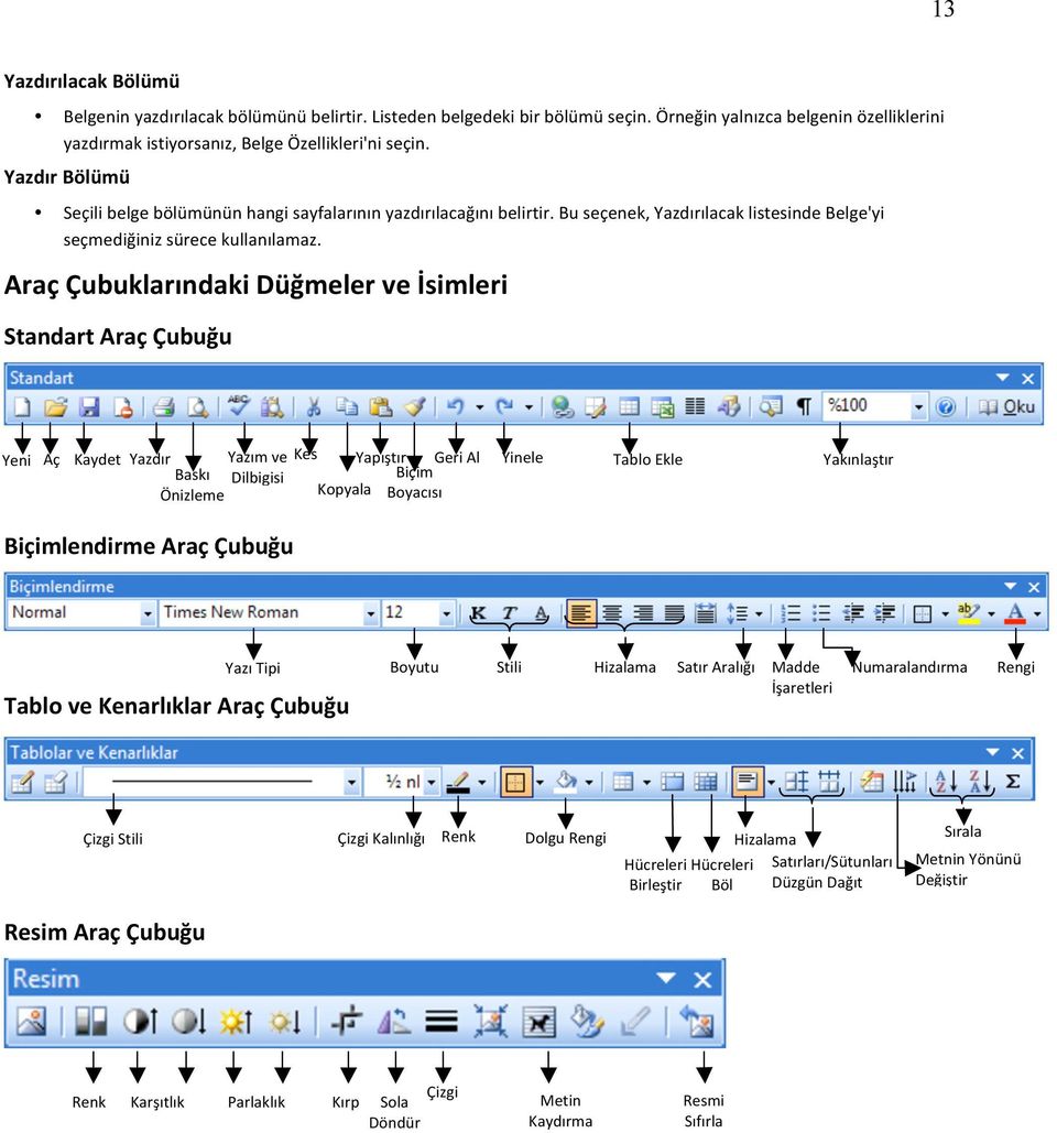 Araç Çubuklarındaki Düğmeler ve İsimleri Standart Araç Çubuğu Yeni Aç Kaydet Yazdır Yazım ve Kes Yapıştır Geri Al Yinele Tablo Ekle Yakınlaştır Baskı Dilbigisi Biçim Önizleme Kopyala Boyacısı