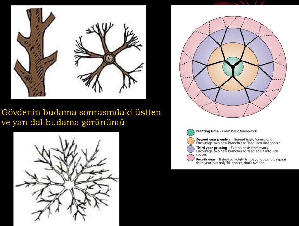 üstten ve yan