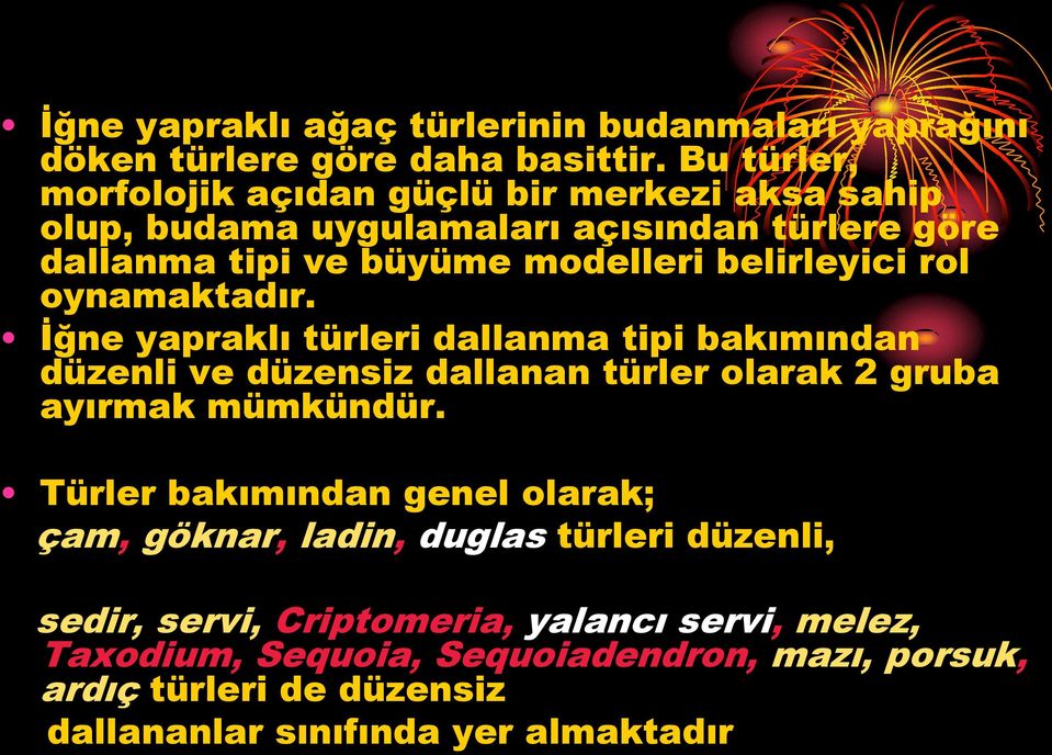 rol oynamaktadır. İğne yapraklı türleri dallanma tipi bakımından düzenli ve düzensiz dallanan türler olarak 2 gruba ayırmak mümkündür.