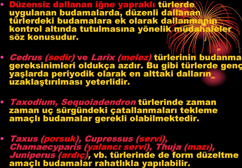 Bu gibi türlerde genç yaşlarda periyodik olarak en alttaki dalların uzaklaştırılması yeterlidir.