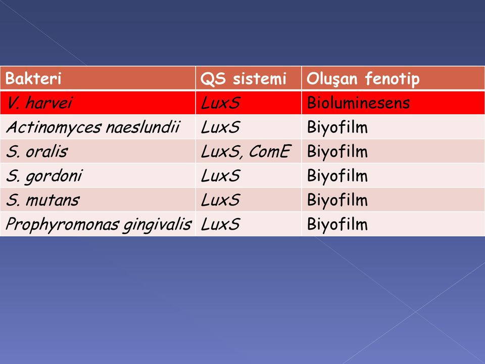 Biyofilm S. oralis LuxS, ComE Biyofilm S.