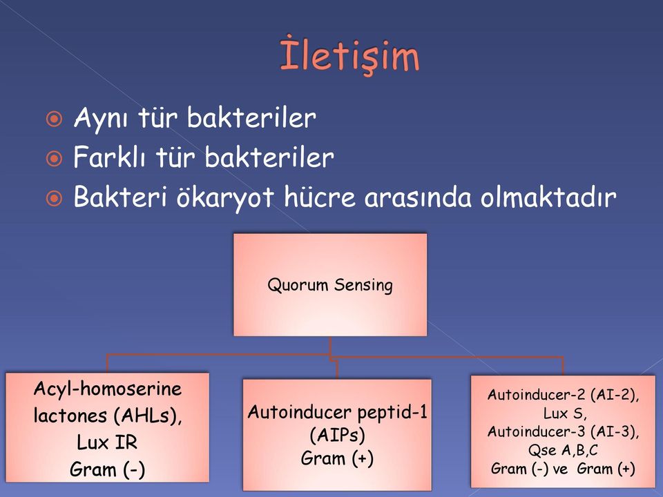 (AHLs), Lux IR Gram (-) Autoinducer peptid-1 (AIPs) Gram (+)