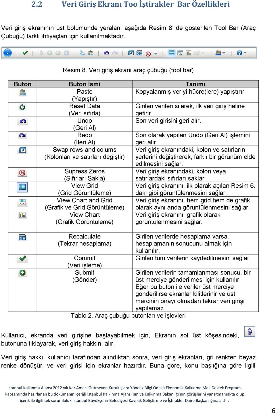 Veri giriş ekranı araç çubuğu (tool bar) Buton Buton İsmi Tanımı Paste Kopyalanmış veriyi hücre(lere) yapıştırır (Yapıştır) Reset Data (Veri sıfırla) Girilen verileri silerek, ilk veri giriş haline