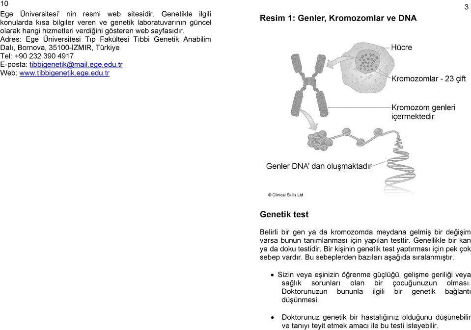 tr Web: www.tibbigenetik.ege.edu.tr Resim 1: Genler, Kromozomlar ve DNA 3 Genetik test Belirli bir gen ya da kromozomda meydana gelmiş bir değişim varsa bunun tanımlanması için yapılan testtir.