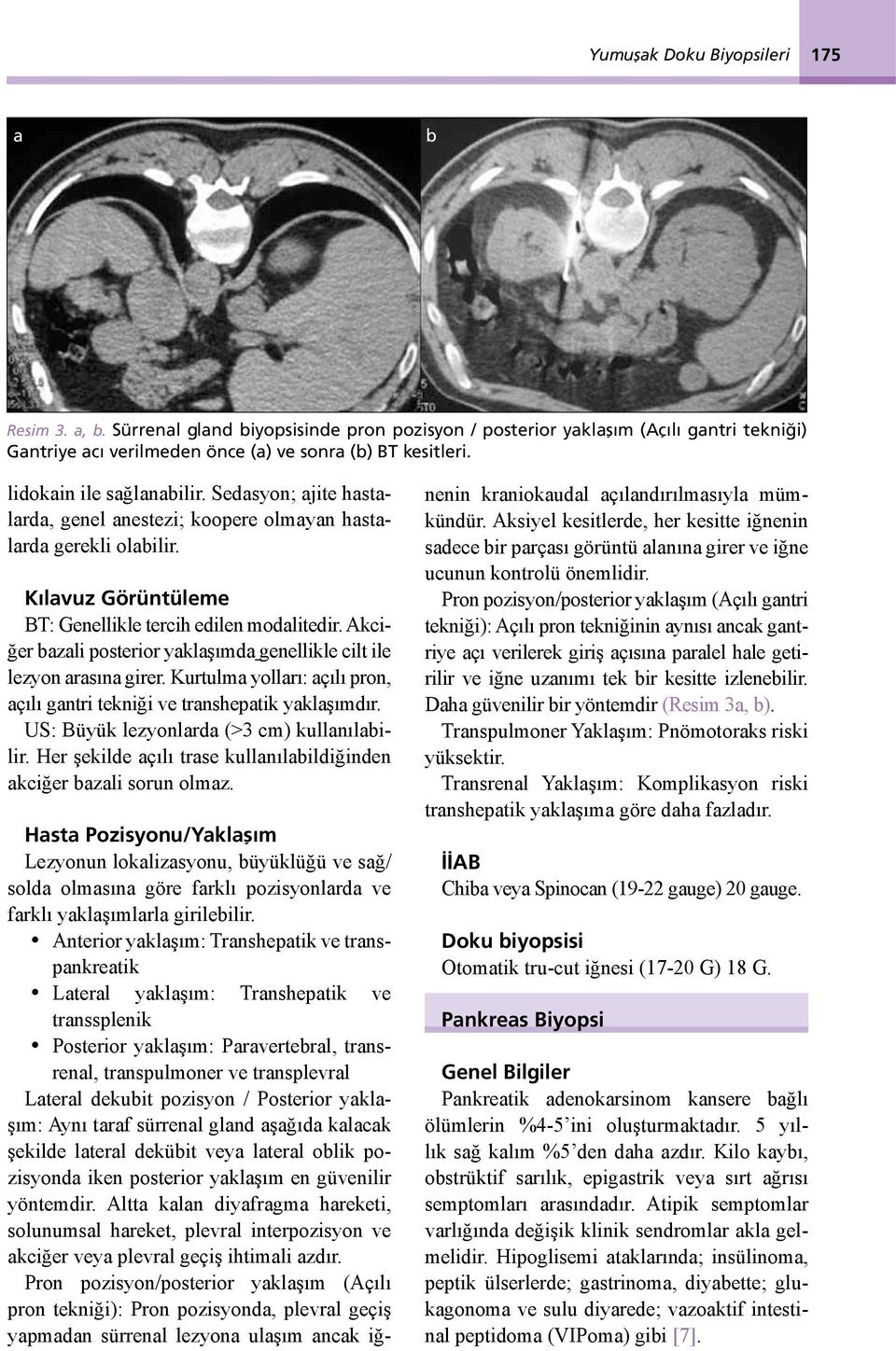 Akciğer bazali posterior yaklaşımda genellikle cilt ile lezyon arasına girer. Kurtulma yolları: açılı pron, açılı gantri tekniği ve transhepatik yaklaşımdır.