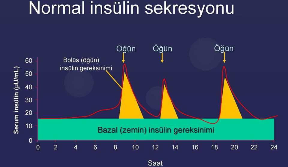 gereksinimi Öğün Öğün Öğün 40 30 20 10 0 Bazal