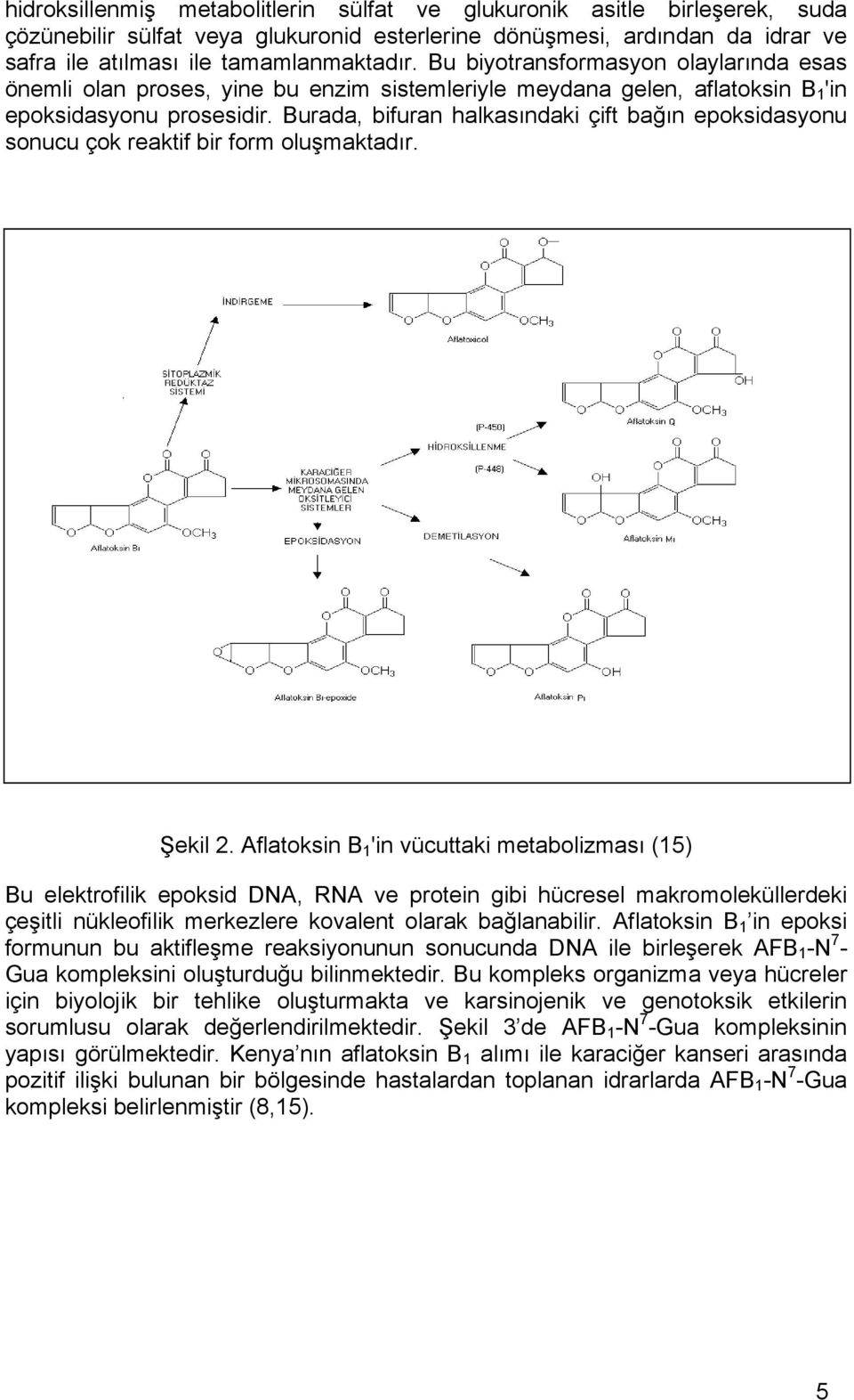 Burada, bifuran halkasındaki çift bağın epoksidasyonu sonucu çok reaktif bir form oluşmaktadır. Şekil 2.