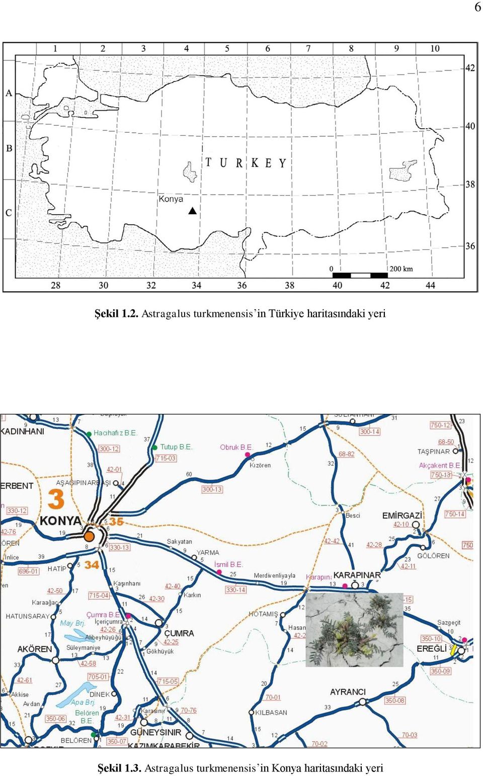 Türkiye haritasındaki yeri ġekil