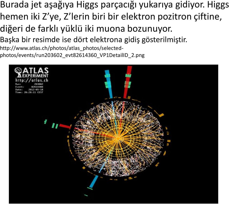 farklı yüklü iki muona bozunuyor.