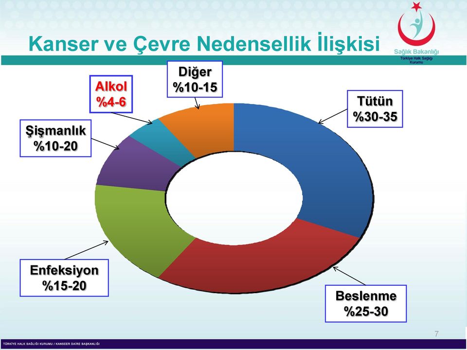 %4-6 Diğer %10-15 Tütün %30-35