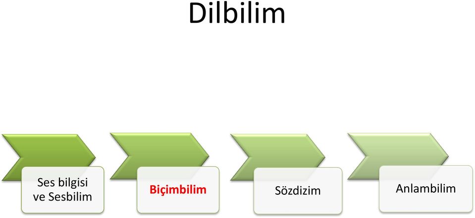 Sesbilim